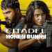 Citadel Honey Bunny